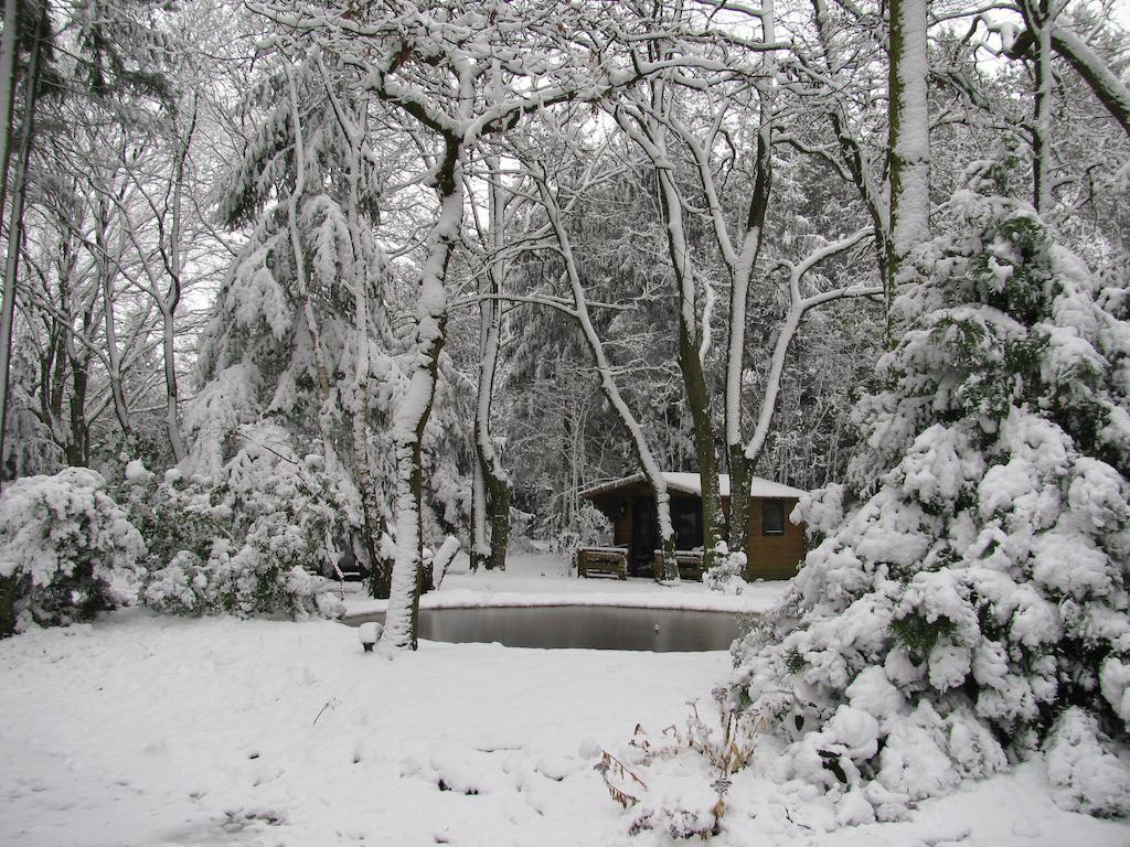'T Wettenshuys Nuenen Exterior foto